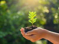 earth-enviroment